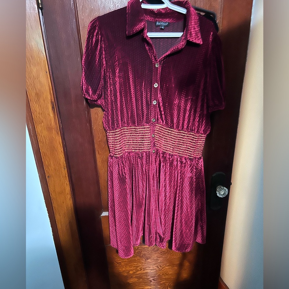 Smak Parlour Burgundy Velvet Dress with Button Front